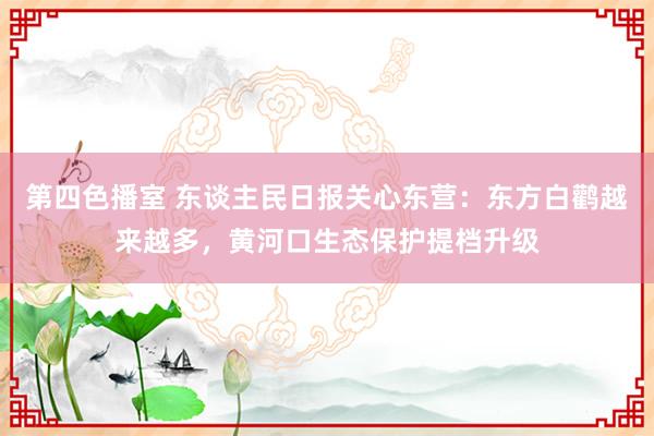 第四色播室 东谈主民日报关心东营：东方白鹳越来越多，黄河口生态保护提档升级