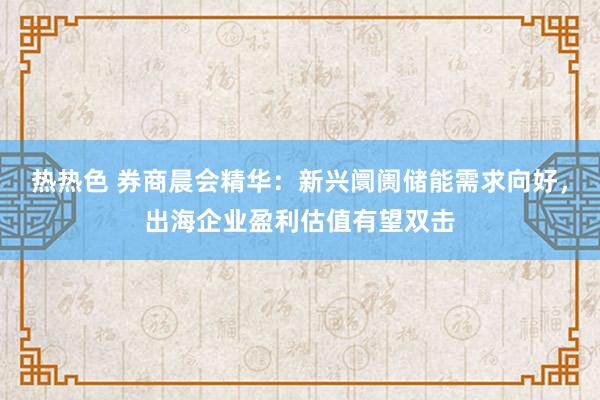 热热色 券商晨会精华：新兴阛阓储能需求向好，出海企业盈利估值有望双击