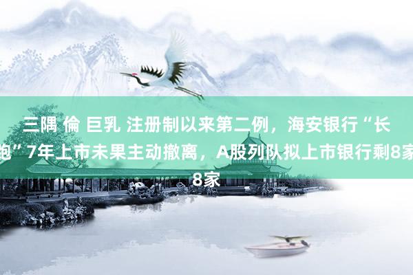 三隅 倫 巨乳 注册制以来第二例，海安银行“长跑”7年上市未果主动撤离，A股列队拟上市银行剩8家