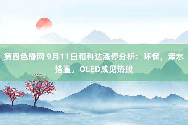 第四色播网 9月11日和科达涨停分析：环保，浑水措置，OLED成见热股