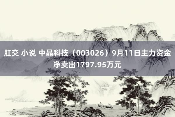 肛交 小说 中晶科技（003026）9月11日主力资金净卖出1797.95万元