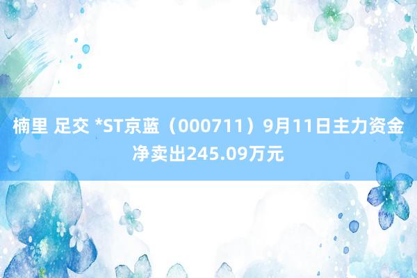 楠里 足交 *ST京蓝（000711）9月11日主力资金净卖出245.09万元