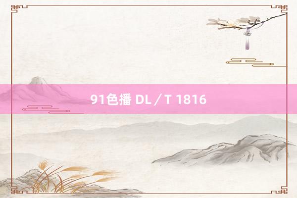 91色播 DL／T 1816