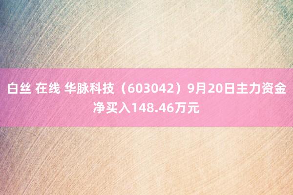 白丝 在线 华脉科技（603042）9月20日主力资金净买入148.46万元