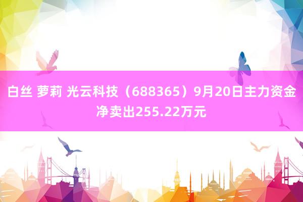 白丝 萝莉 光云科技（688365）9月20日主力资金净卖出255.22万元