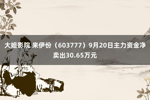 大姐影院 来伊份（603777）9月20日主力资金净卖出30.65万元