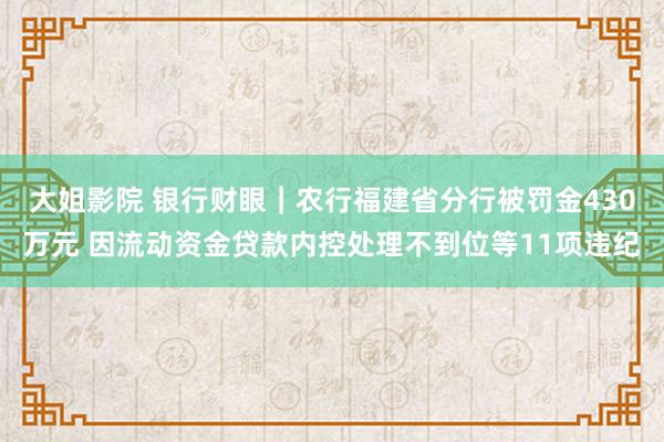 大姐影院 银行财眼｜农行福建省分行被罚金430万元 因流动资金贷款内控处理不到位等11项违纪