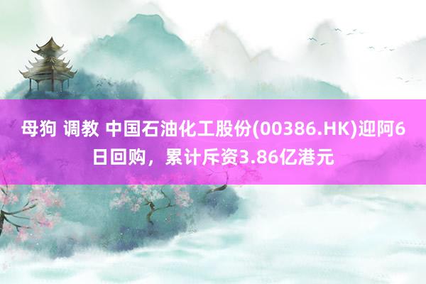 母狗 调教 中国石油化工股份(00386.HK)迎阿6日回购，累计斥资3.86亿港元