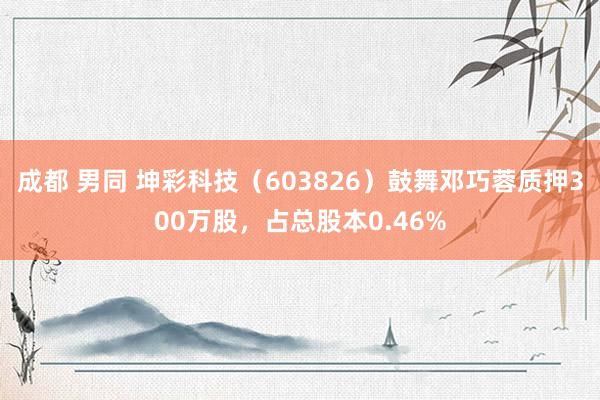 成都 男同 坤彩科技（603826）鼓舞邓巧蓉质押300万股，占总股本0.46%