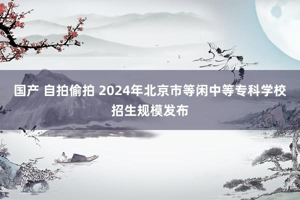 国产 自拍偷拍 2024年北京市等闲中等专科学校招生规模发布