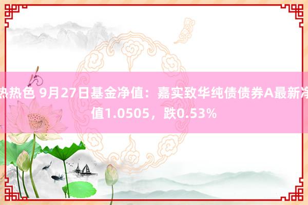 热热色 9月27日基金净值：嘉实致华纯债债券A最新净值1.0505，跌0.53%