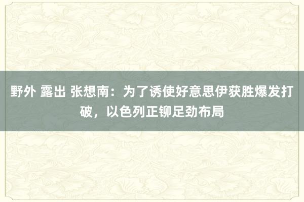 野外 露出 张想南：为了诱使好意思伊获胜爆发打破，以色列正铆足劲布局