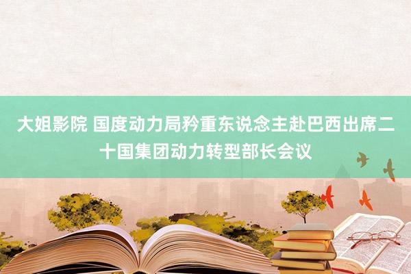 大姐影院 国度动力局矜重东说念主赴巴西出席二十国集团动力转型部长会议