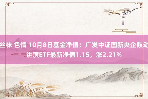 丝袜 色情 10月8日基金净值：广发中证国新央企鼓动讲演ETF最新净值1.15，涨2.21%