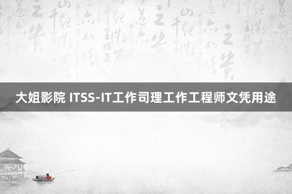 大姐影院 ITSS-IT工作司理工作工程师文凭用途