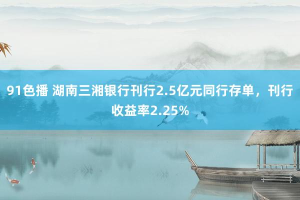 91色播 湖南三湘银行刊行2.5亿元同行存单，刊行收益率2.25%