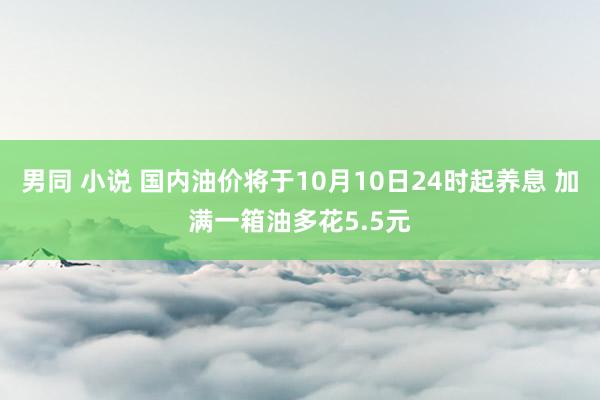 男同 小说 国内油价将于10月10日24时起养息 加满一箱油多花5.5元