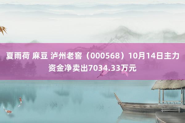 夏雨荷 麻豆 泸州老窖（000568）10月14日主力资金净卖出7034.33万元