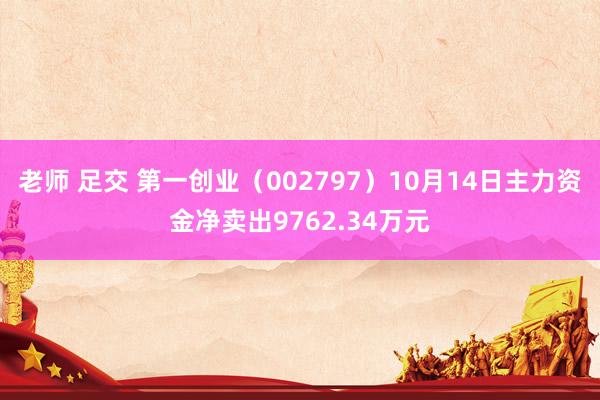 老师 足交 第一创业（002797）10月14日主力资金净卖出9762.34万元