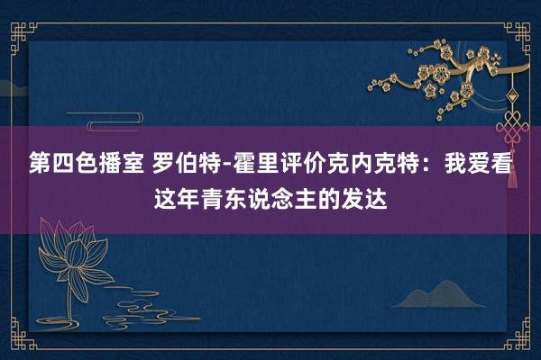 第四色播室 罗伯特-霍里评价克内克特：我爱看这年青东说念主的发达