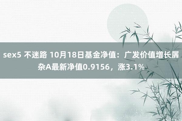 sex5 不迷路 10月18日基金净值：广发价值增长羼杂A最新净值0.9156，涨3.1%