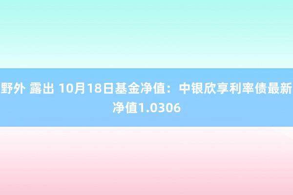 野外 露出 10月18日基金净值：中银欣享利率债最新净值1.0306