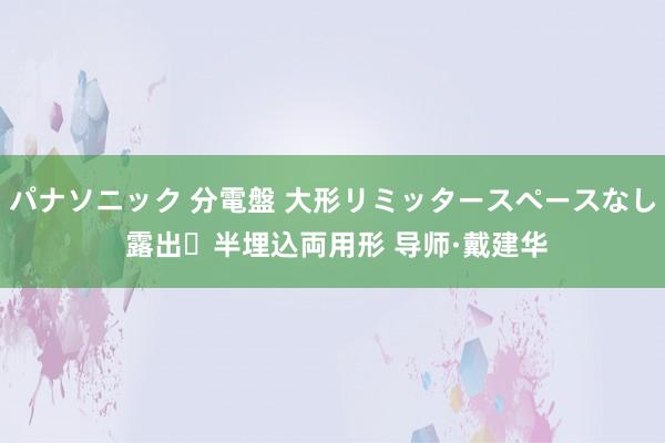 パナソニック 分電盤 大形リミッタースペースなし 露出・半埋込両用形 导师·戴建华