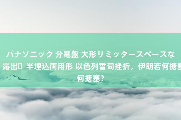 パナソニック 分電盤 大形リミッタースペースなし 露出・半埋込両用形 以色列誓词挫折，伊朗若何搪塞？