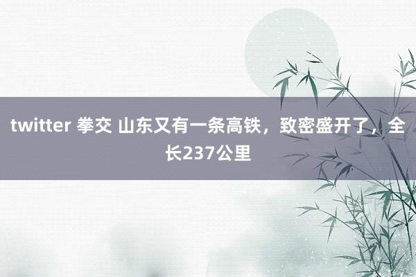 twitter 拳交 山东又有一条高铁，致密盛开了，全长237公里