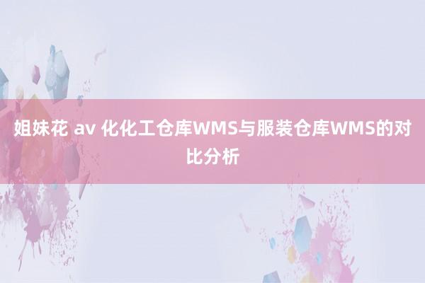 姐妹花 av 化化工仓库WMS与服装仓库WMS的对比分析