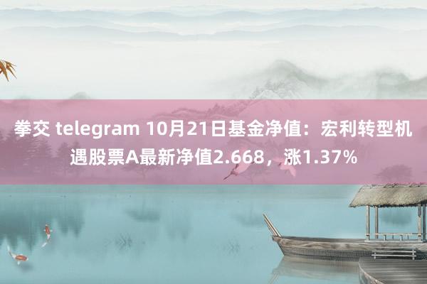 拳交 telegram 10月21日基金净值：宏利转型机遇股票A最新净值2.668，涨1.37%