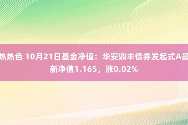 热热色 10月21日基金净值：华安鼎丰债券发起式A最新净值1.165，涨0.02%