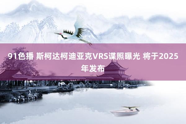 91色播 斯柯达柯迪亚克VRS谍照曝光 将于2025年发布