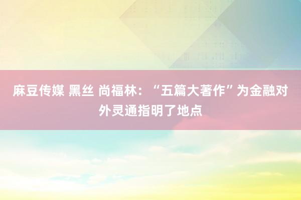 麻豆传媒 黑丝 尚福林：“五篇大著作”为金融对外灵通指明了地点