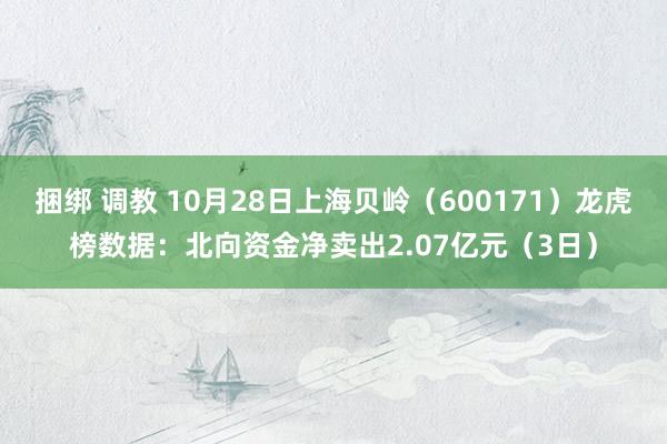 捆绑 调教 10月28日上海贝岭（600171）龙虎榜数据：北向资金净卖出2.07亿元（3日）