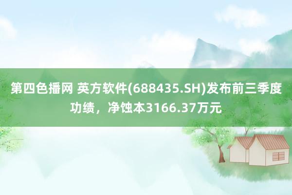 第四色播网 英方软件(688435.SH)发布前三季度功绩，净蚀本3166.37万元