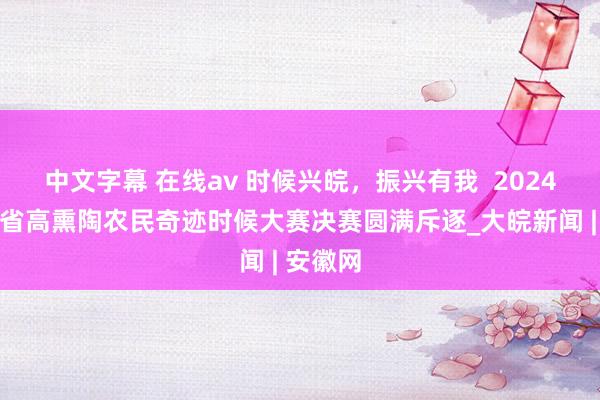 中文字幕 在线av 时候兴皖，振兴有我  2024年安徽省高熏陶农民奇迹时候大赛决赛圆满斥逐_大皖新闻 | 安徽网