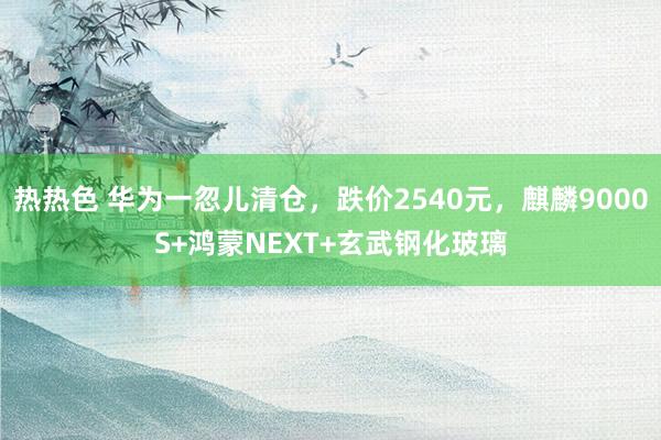 热热色 华为一忽儿清仓，跌价2540元，麒麟9000S+鸿蒙NEXT+玄武钢化玻璃