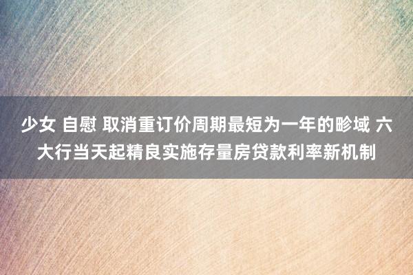 少女 自慰 取消重订价周期最短为一年的畛域 六大行当天起精良实施存量房贷款利率新机制