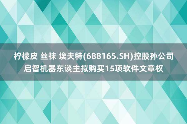 柠檬皮 丝袜 埃夫特(688165.SH)控股孙公司启智机器东谈主拟购买15项软件文章权