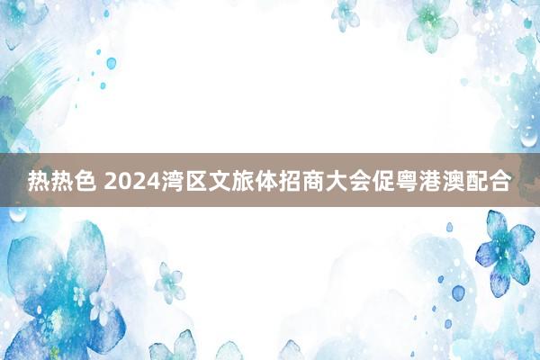 热热色 2024湾区文旅体招商大会促粤港澳配合