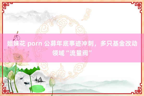 姐妹花 porn 公募年底事迹冲刺，多只基金改动领域“流量阀”