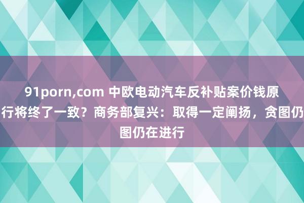 91porn，com 中欧电动汽车反补贴案价钱原意贪图行将终了一致？商务部复兴：取得一定阐扬，贪图仍在进行