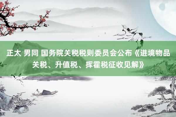 正太 男同 国务院关税税则委员会公布《进境物品关税、升值税、挥霍税征收见解》