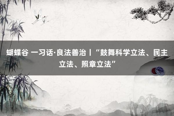 蝴蝶谷 一习话·良法善治丨“鼓舞科学立法、民主立法、照章立法”