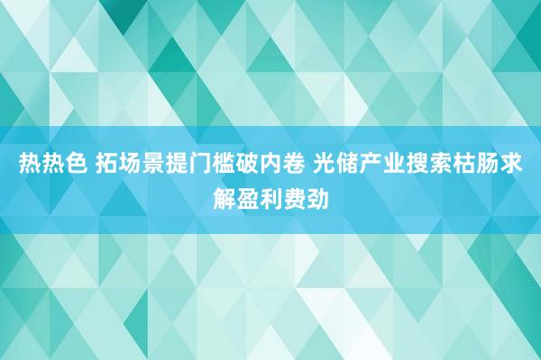 热热色 拓场景提门槛破内卷 光储产业搜索枯肠求解盈利费劲