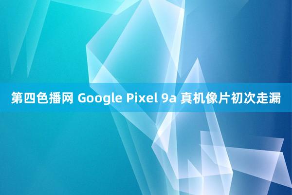 第四色播网 Google Pixel 9a 真机像片初次走漏