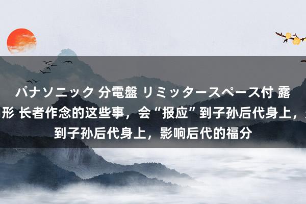 パナソニック 分電盤 リミッタースペース付 露出・半埋込両用形 长者作念的这些事，会“报应”到子孙后代身上，影响后代的福分