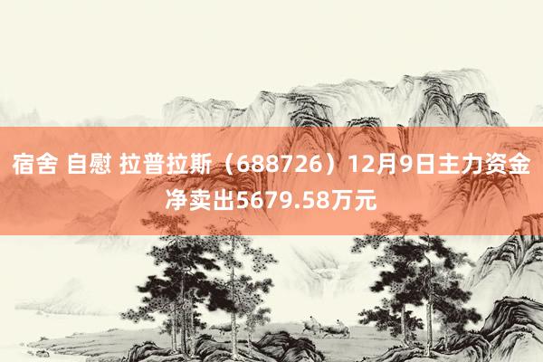 宿舍 自慰 拉普拉斯（688726）12月9日主力资金净卖出5679.58万元