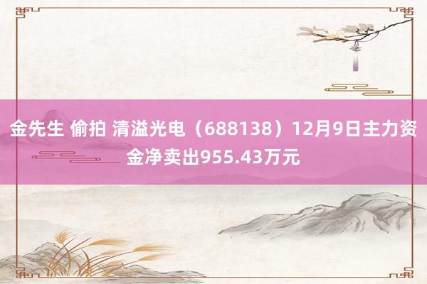 金先生 偷拍 清溢光电（688138）12月9日主力资金净卖出955.43万元